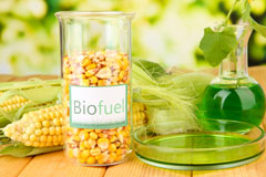 Berrys Green biofuel availability